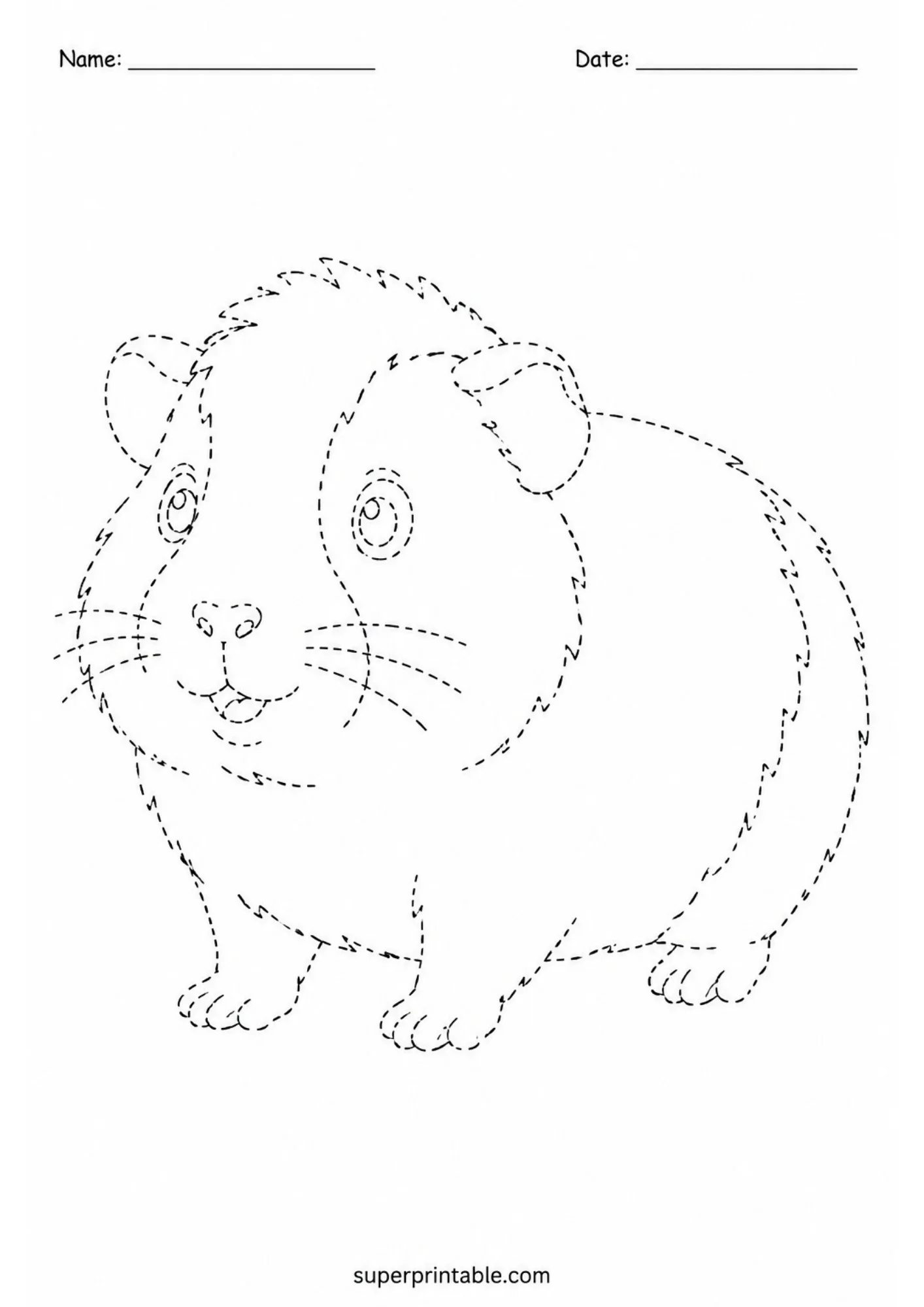 Black line art tracing worksheet featuring a chubby guinea pig standing in side profile with dashed outline paths, whiskers, round ears, and top name and date header lines.