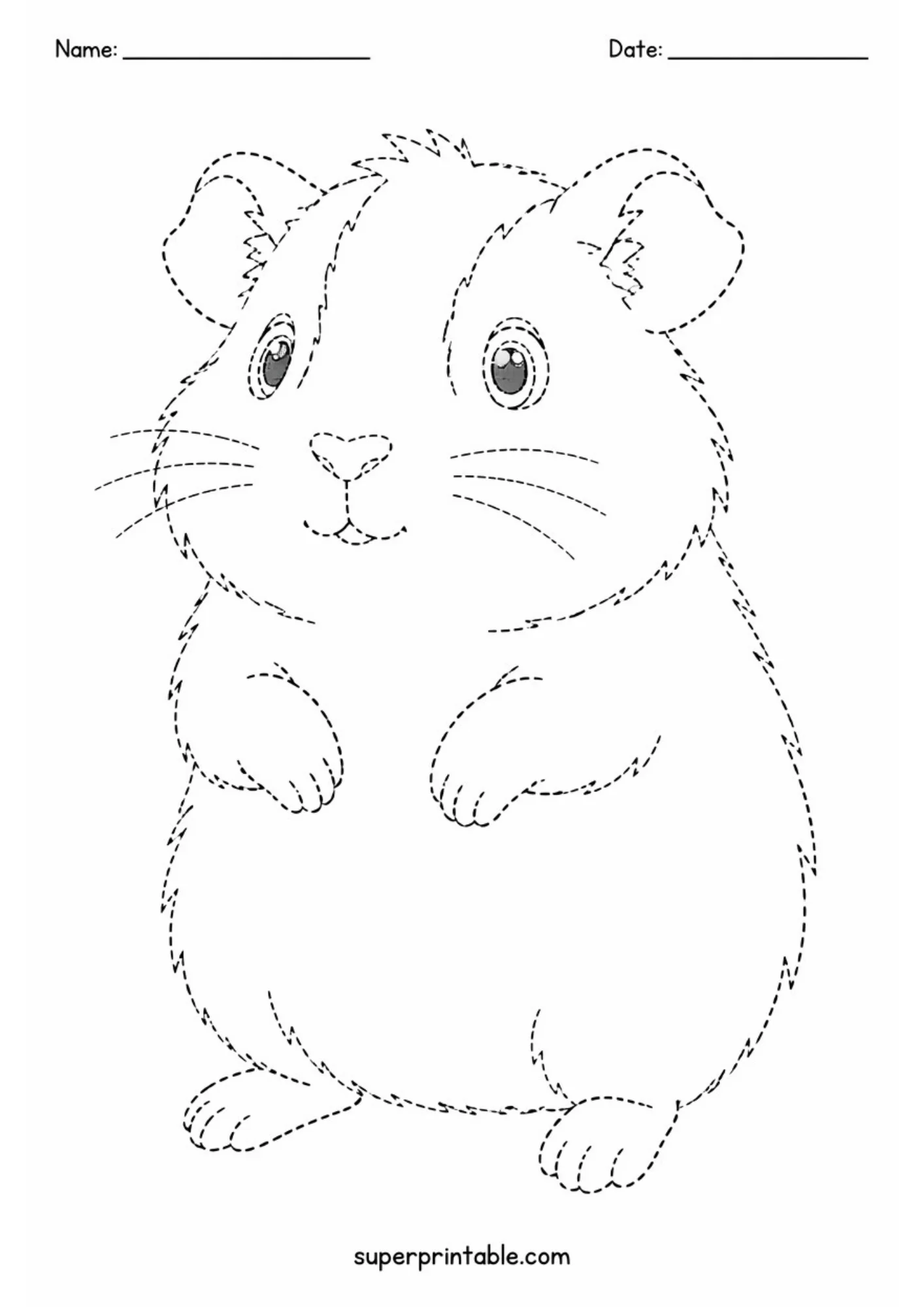 Black and white line art tracing sheet depicting an inquisitive guinea pig standing upright on hind legs with front paws raised, dashed outline paths, and top name and date header lines.