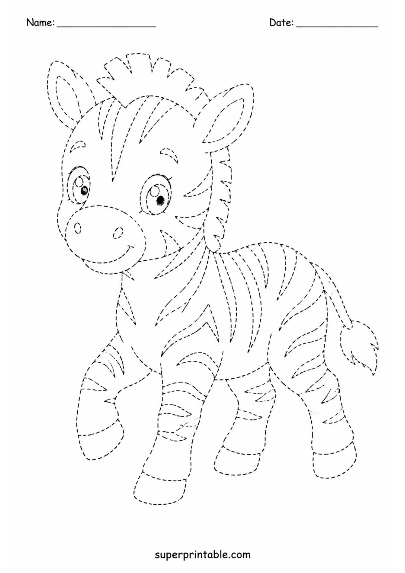 Black line art tracing sheet of a standing baby zebra foal taking a step forward with dashed outline body contours and hooves.