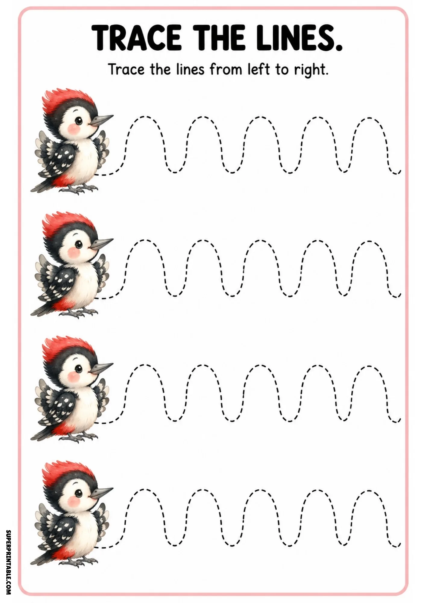 Woodpecker line tracing sheet featuring four red-crested birds and tall wavy dashed tracing paths.