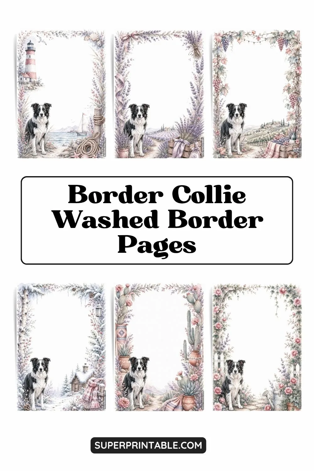 12+ Border Collie Washed Border Pages Pinterest Image