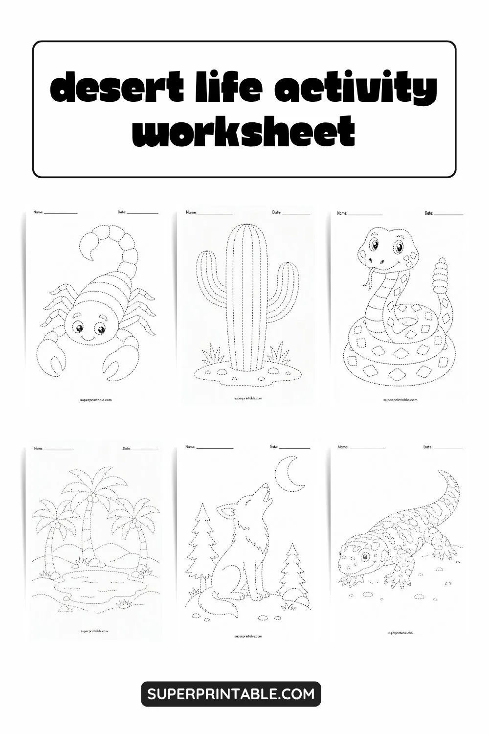 Desert Life Activity Worksheet Pinterest Image