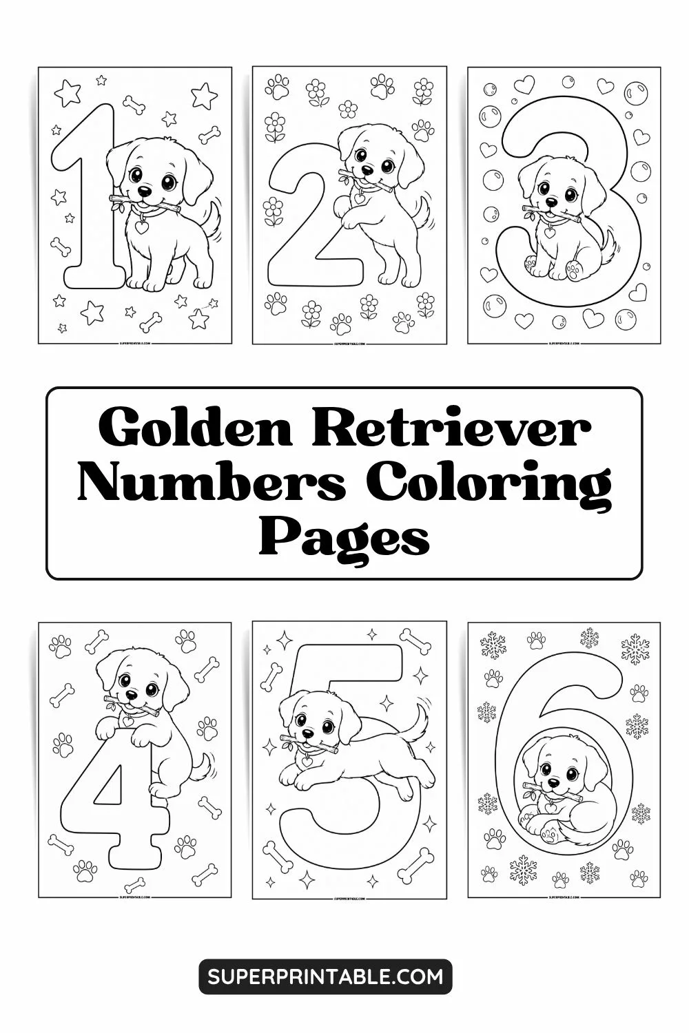 Golden Retriever Numbers Coloring Pages Pinterest Image