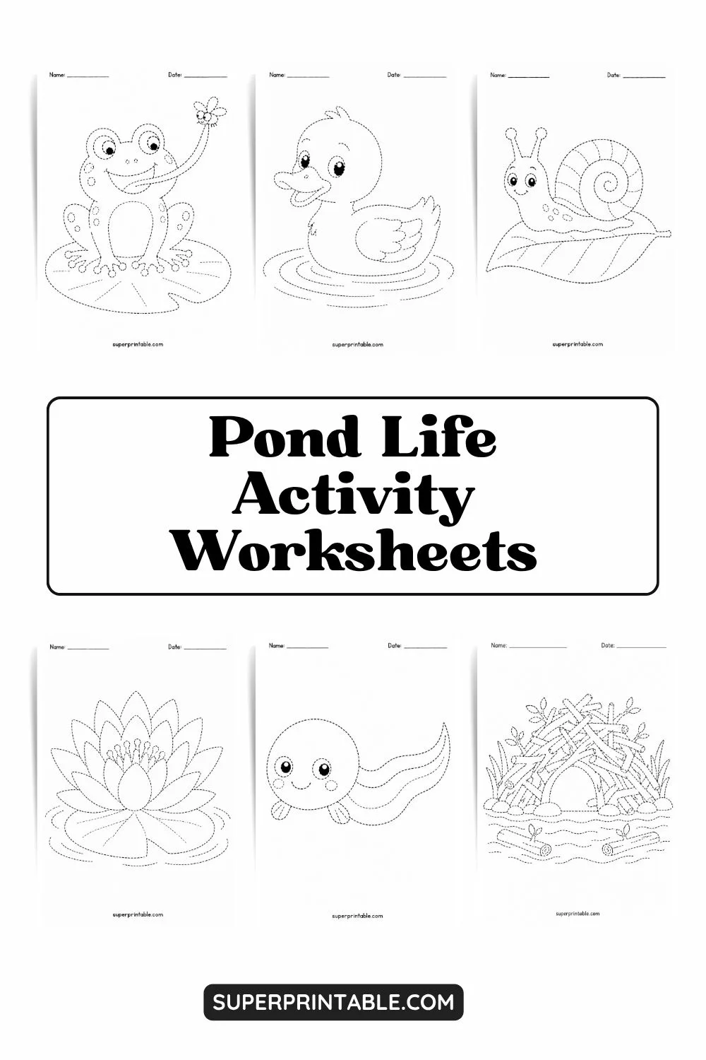 Pond Life Activity Worksheets Pinterest Image