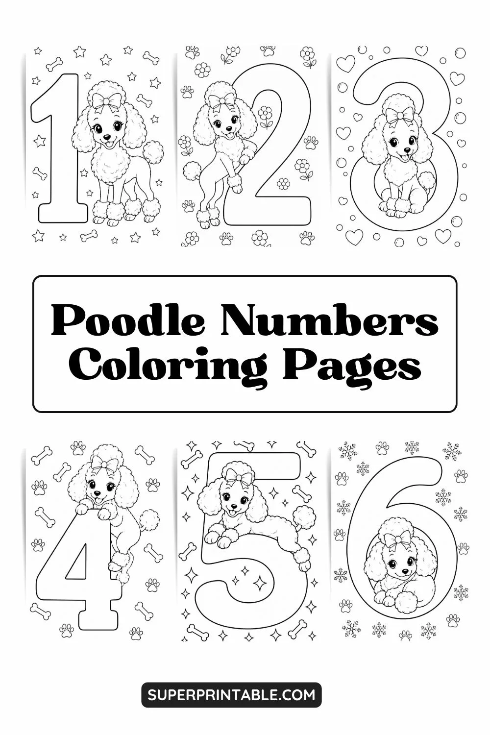 Poodle Numbers Coloring Pages Pinterest Image