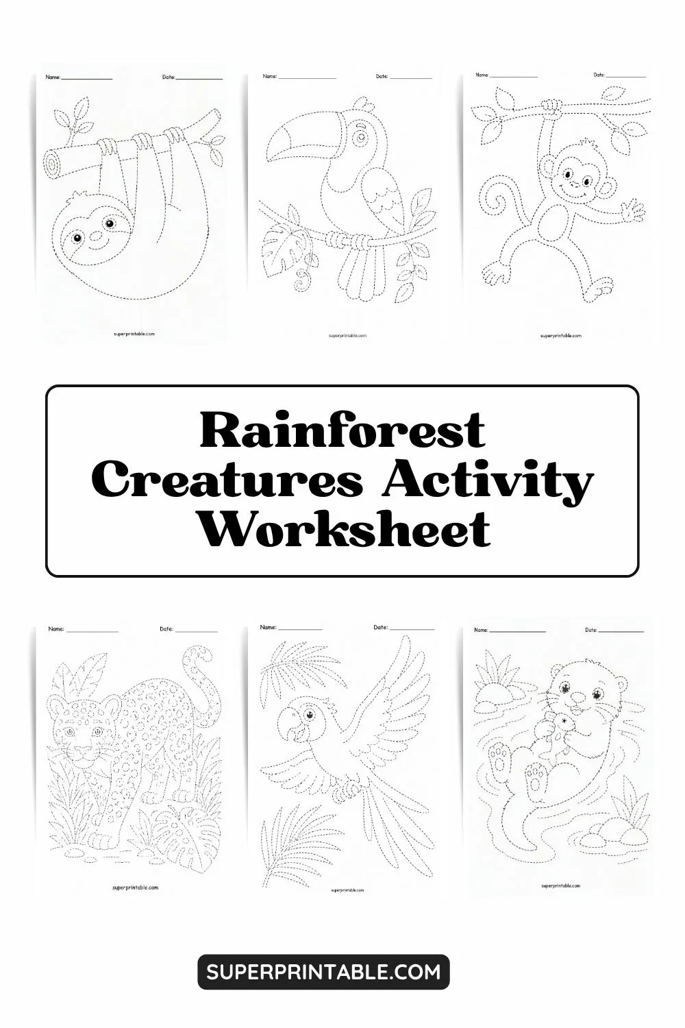 Rainforest Creatures Activity Worksheet Pinterest Image