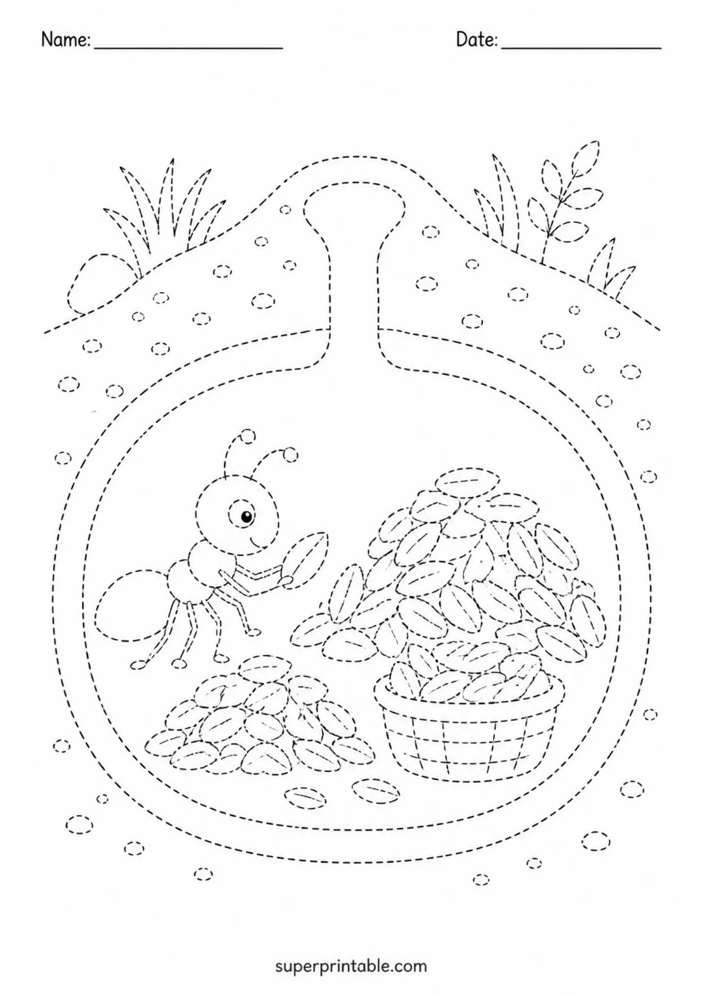 Worker ant storing harvested seeds inside an underground food storage chamber tracing sheet.