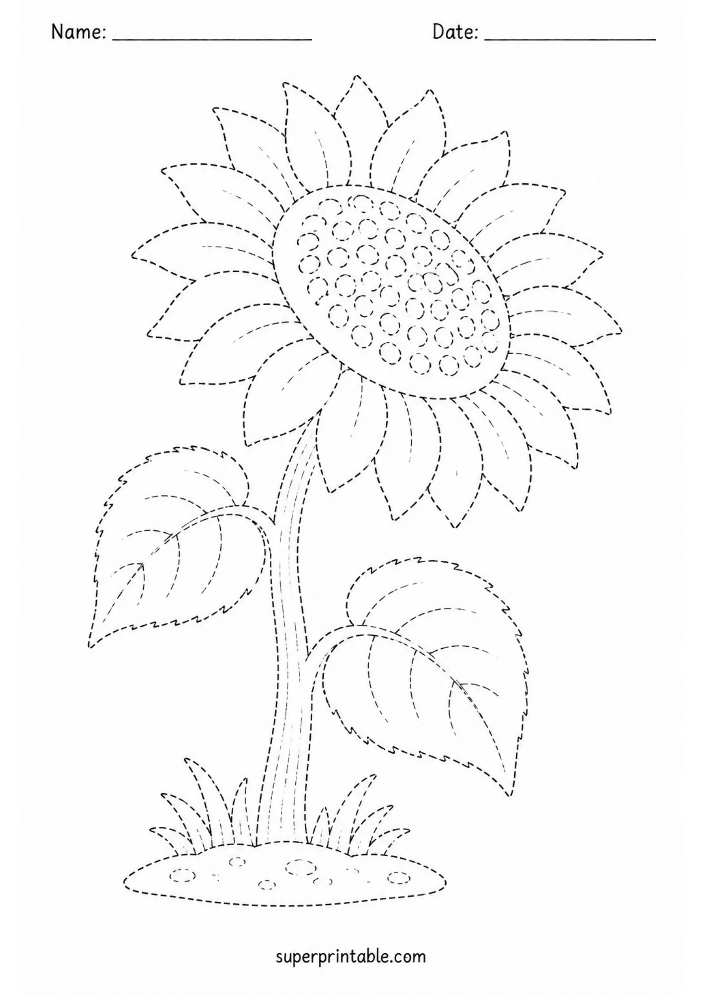 Tall sunflower with detailed petals dashed line tracing printable sheet.