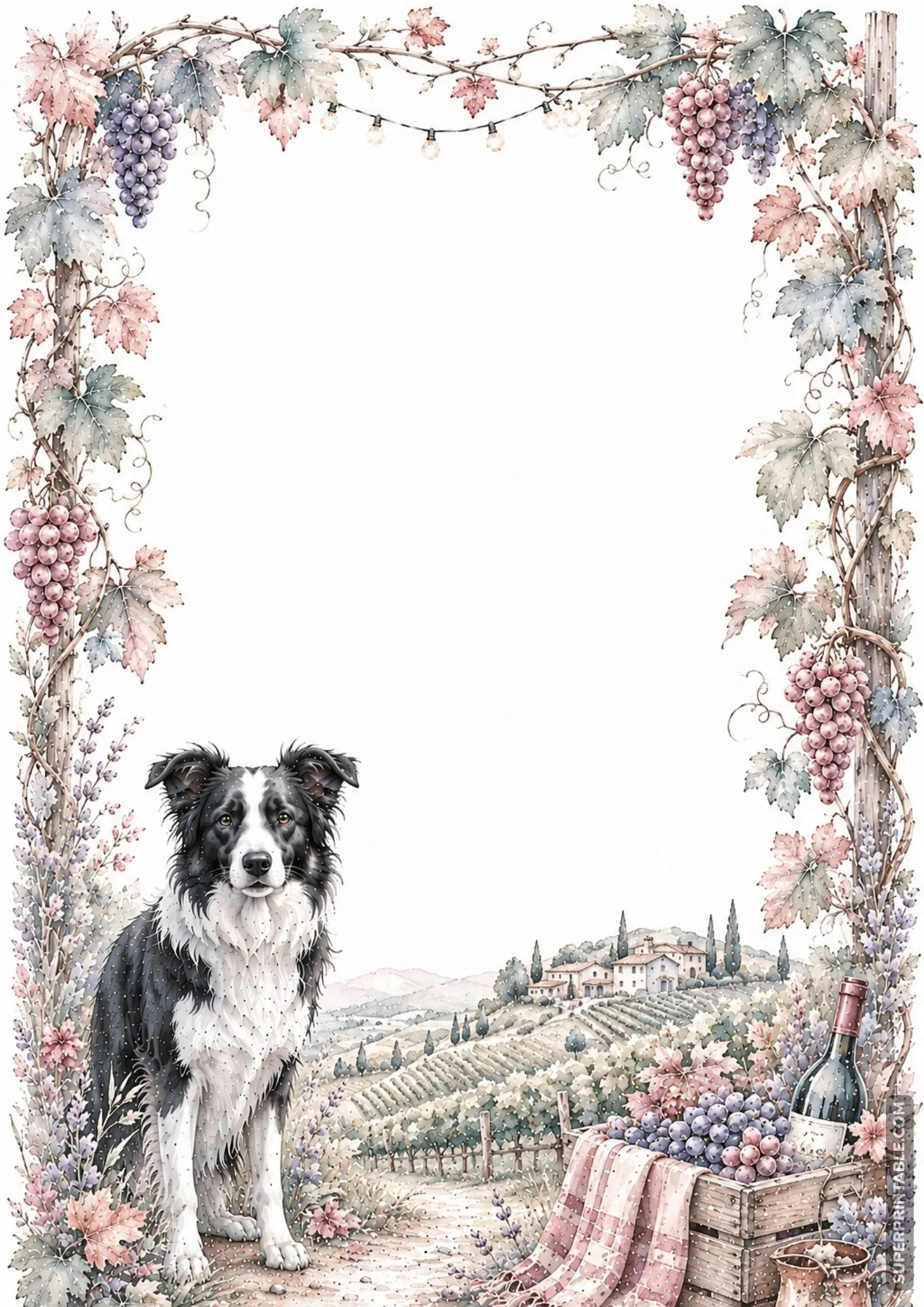 Border collie sitting in a lush grape vineyard with rolling hills on decorative border paper.