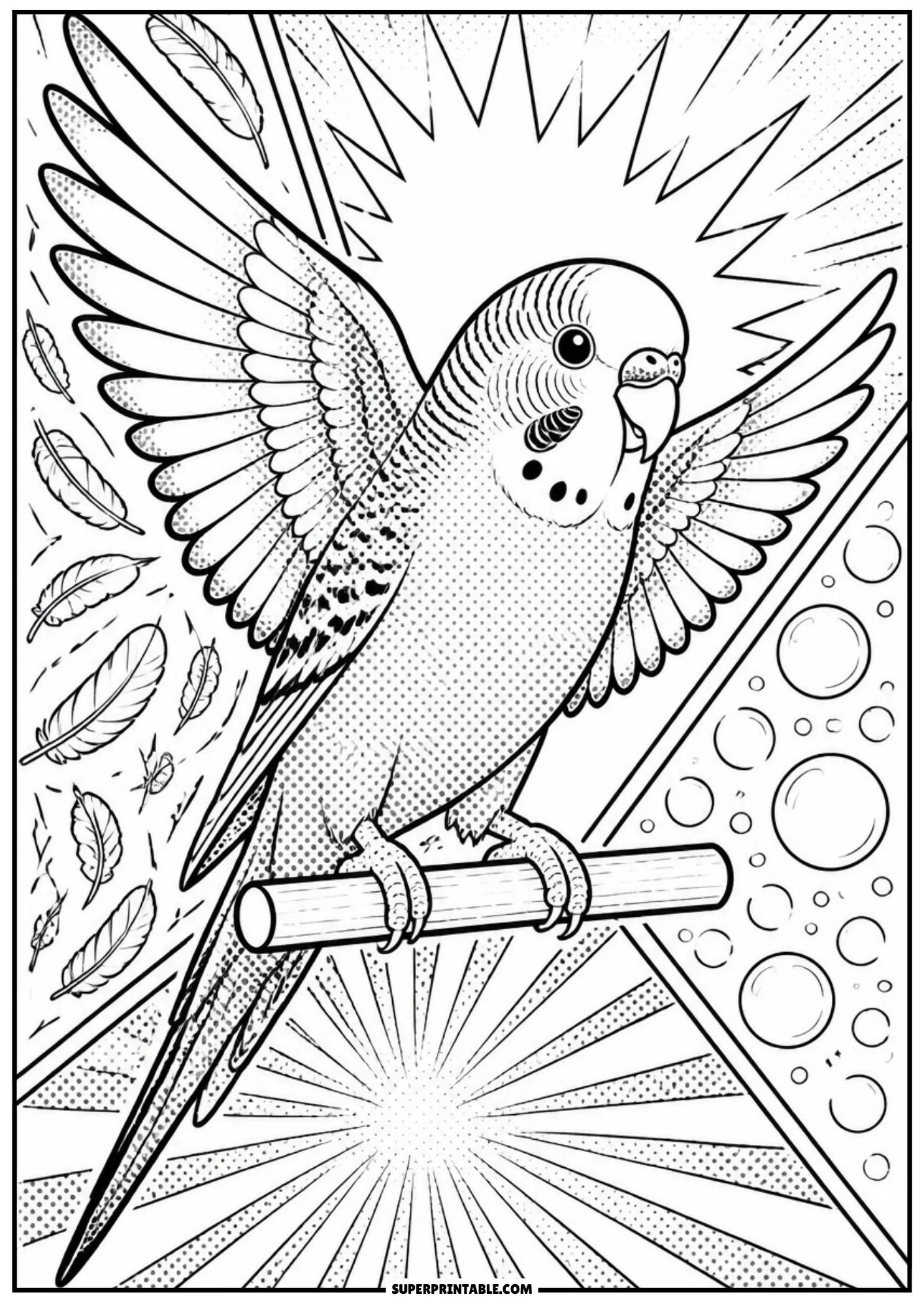 Budgie parakeet perched on a stick with open wings surrounded by pop art feathers and sunbursts.
