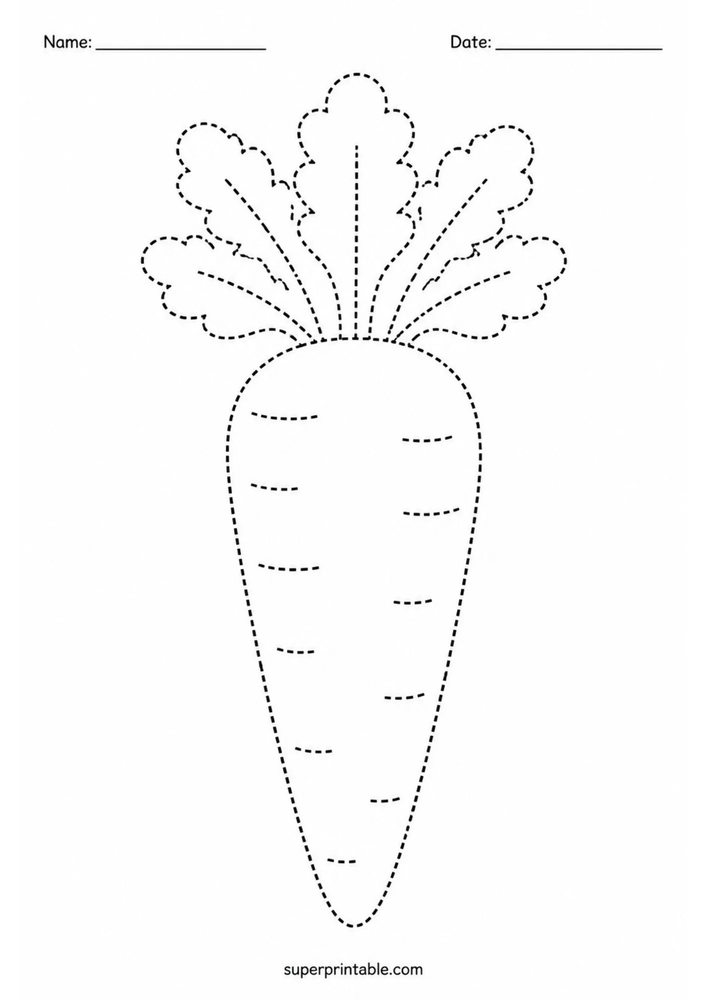 Dashed line carrot illustration with tall leafy green tops to trace.