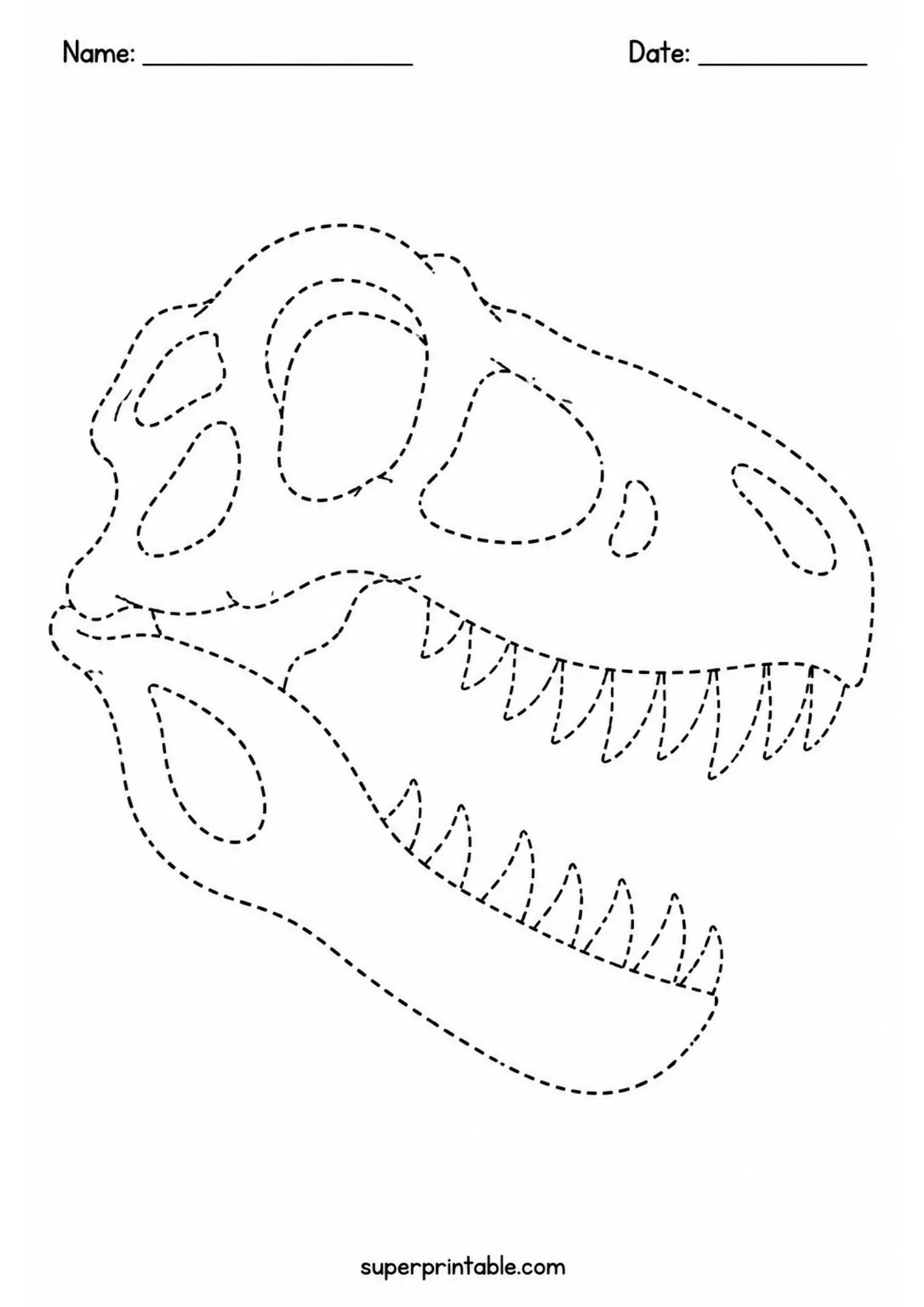 Dino fossils activity worksheets featuring a printable T-Rex skull tracing page.