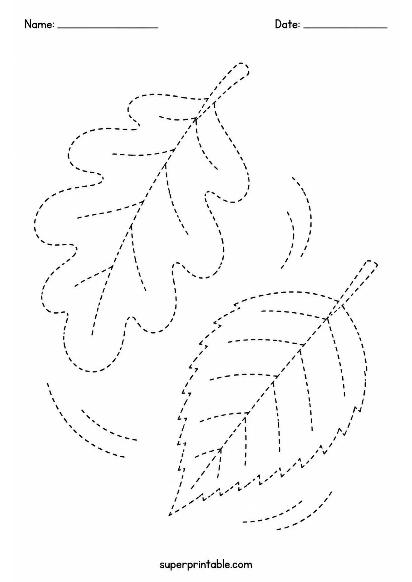 Black and white tracing worksheet featuring two distinct fall leaf types drifting along dashed movement lines.