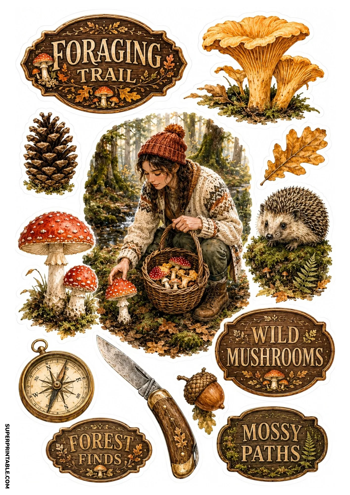 Wild mushroom foraging stickers depicting a girl gathering mushrooms, hedgehog, compass, and pocket knife.