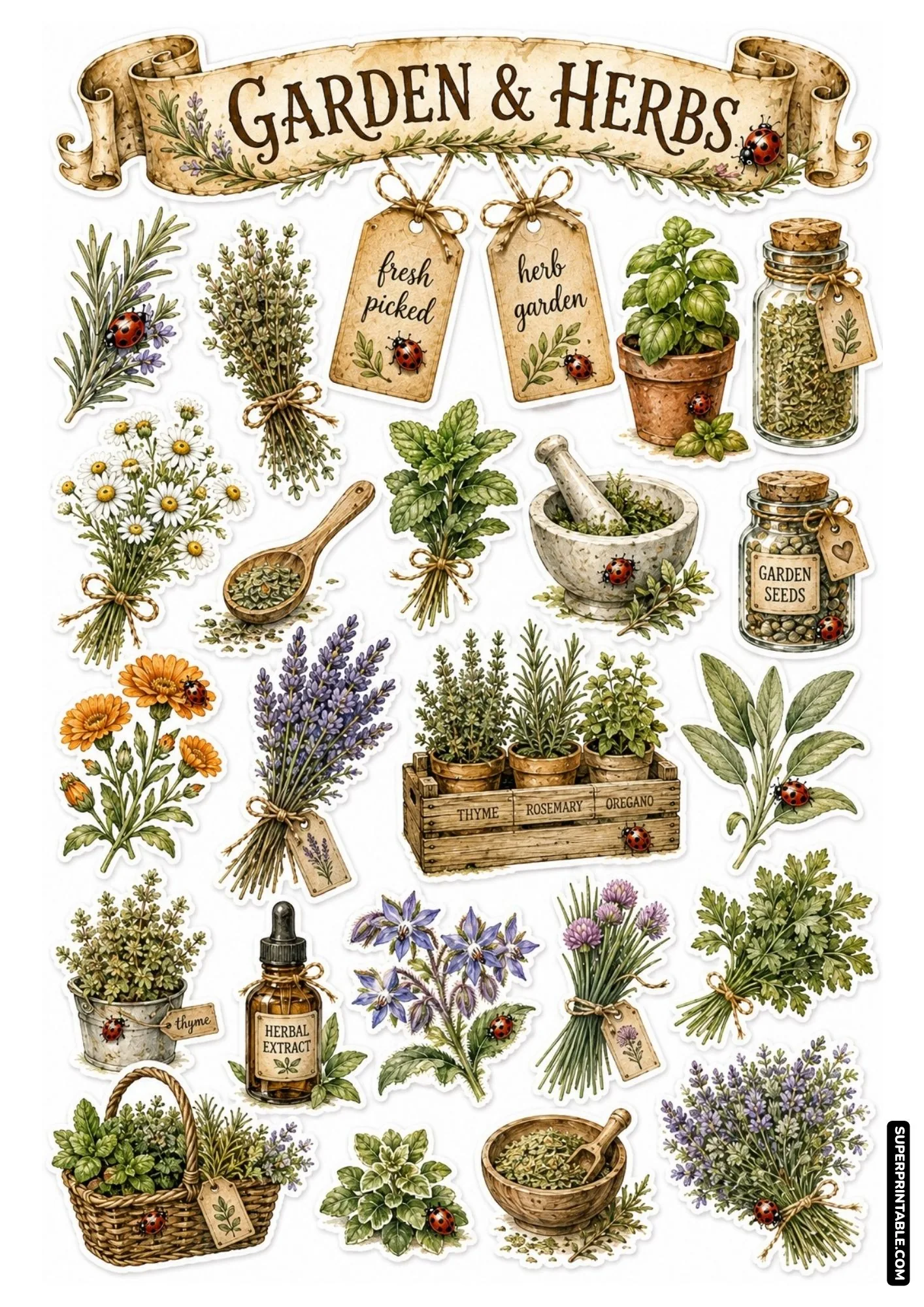 Culinary herb garden sticker sheet featuring ladybugs, potted basil, thyme crates, and apothecary potion bottles.