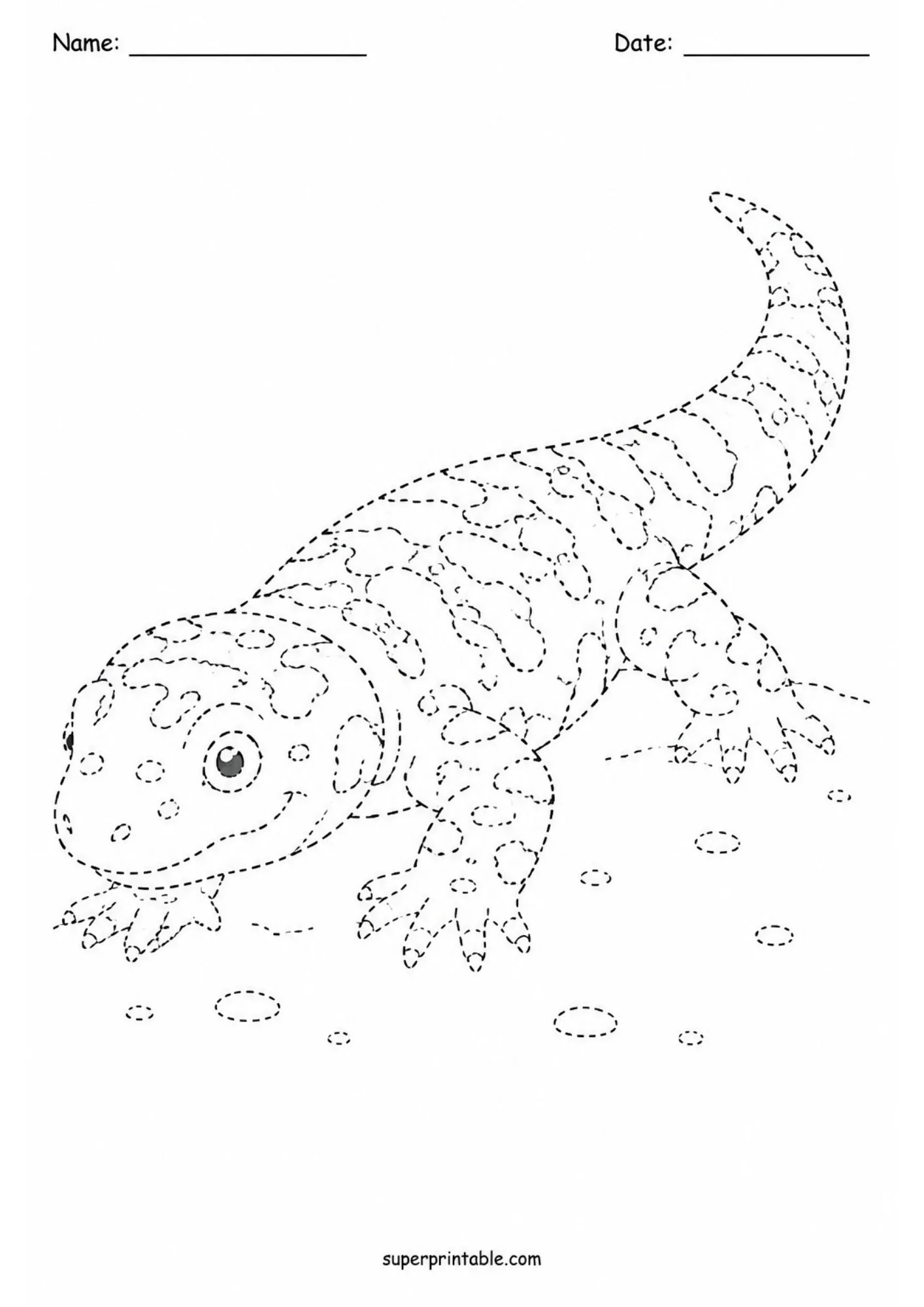 Gila monster desert lizard line tracing worksheet offering fun motor skills practice for students.