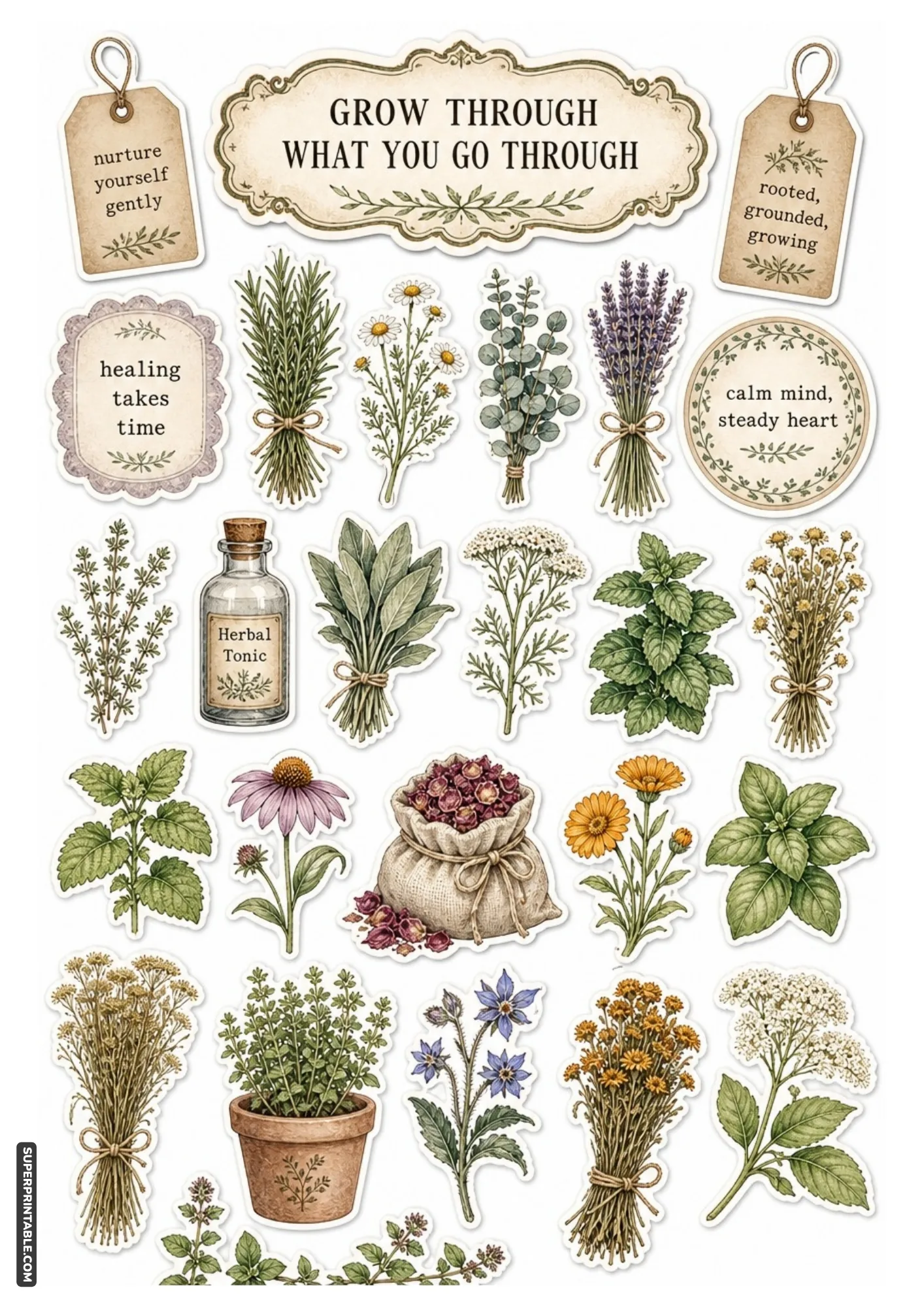 Medicinal herbs and wildflowers printables featuring healing quotes.