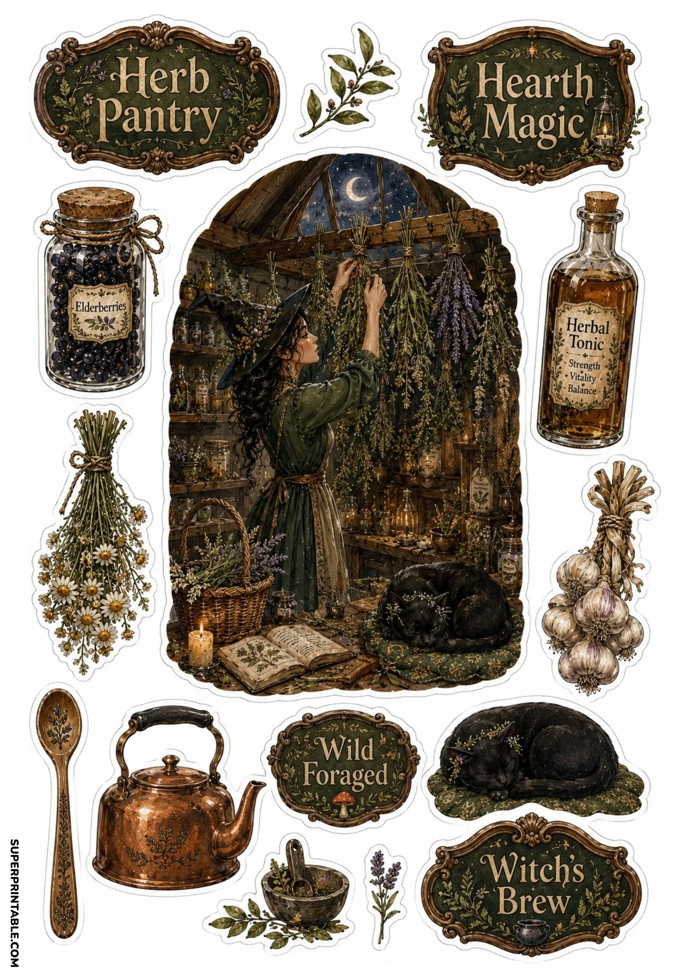 Herbalist witch hanging dried plants with elderberry jar, copper kettle, chamomile bundle, and resting black cat.