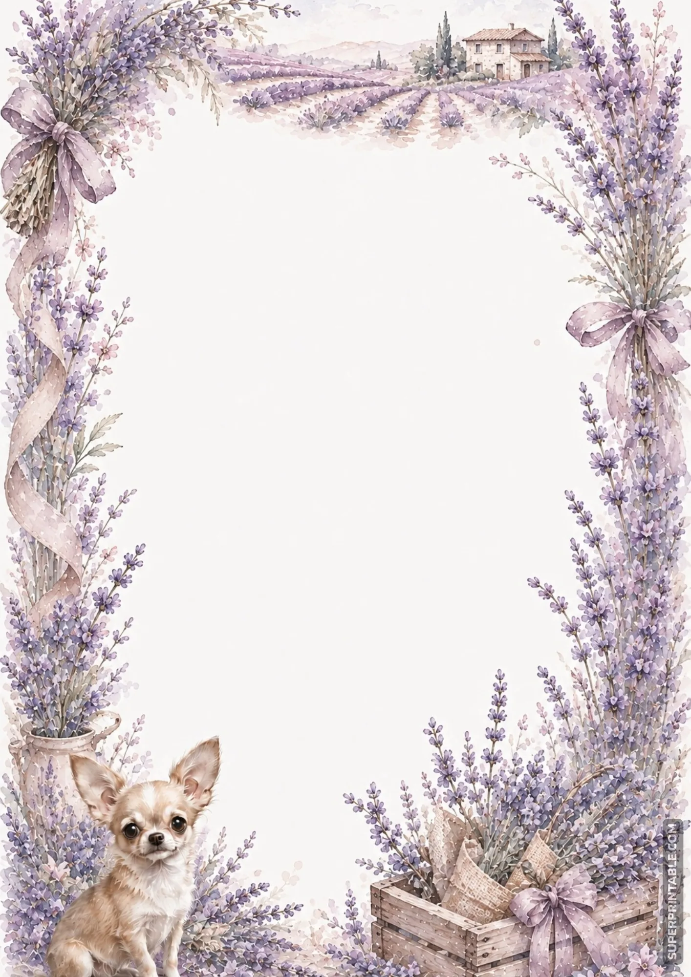 French lavender field border with purple flower bouquets cottage and sitting chihuahua
