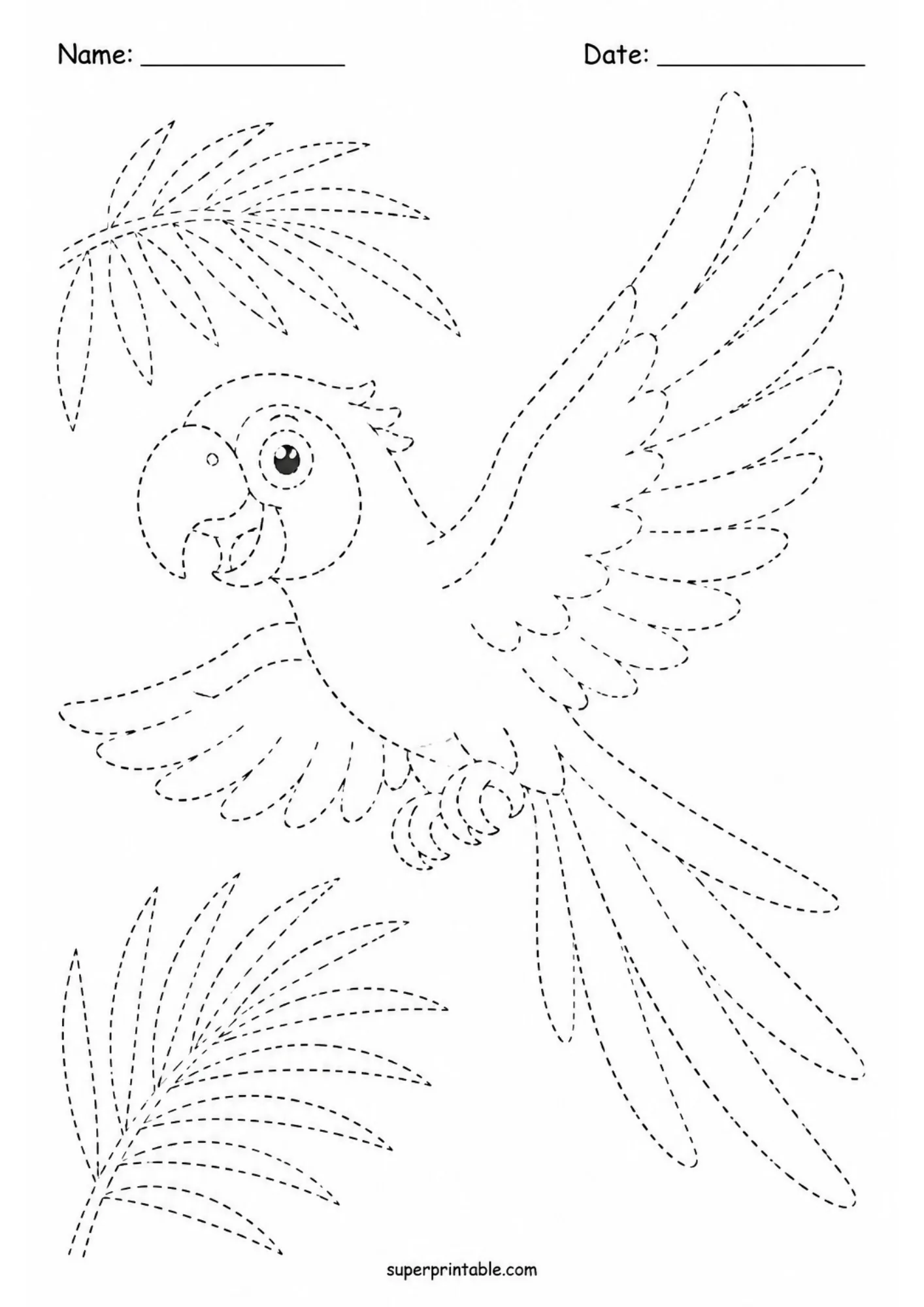 Tropical macaw parrot in flight with open wings line tracing printable sheet for students.