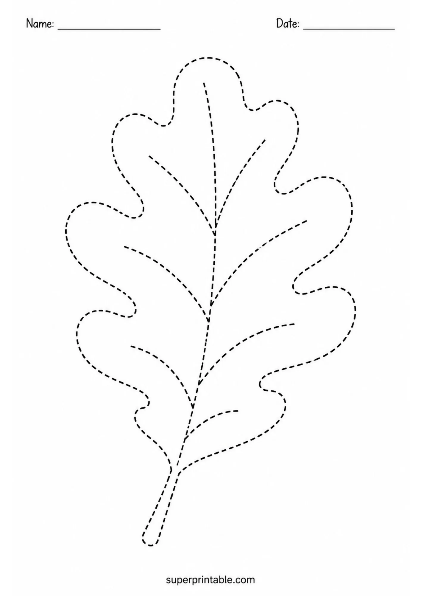 Dashed line illustration of an oak leaf for kids to trace.