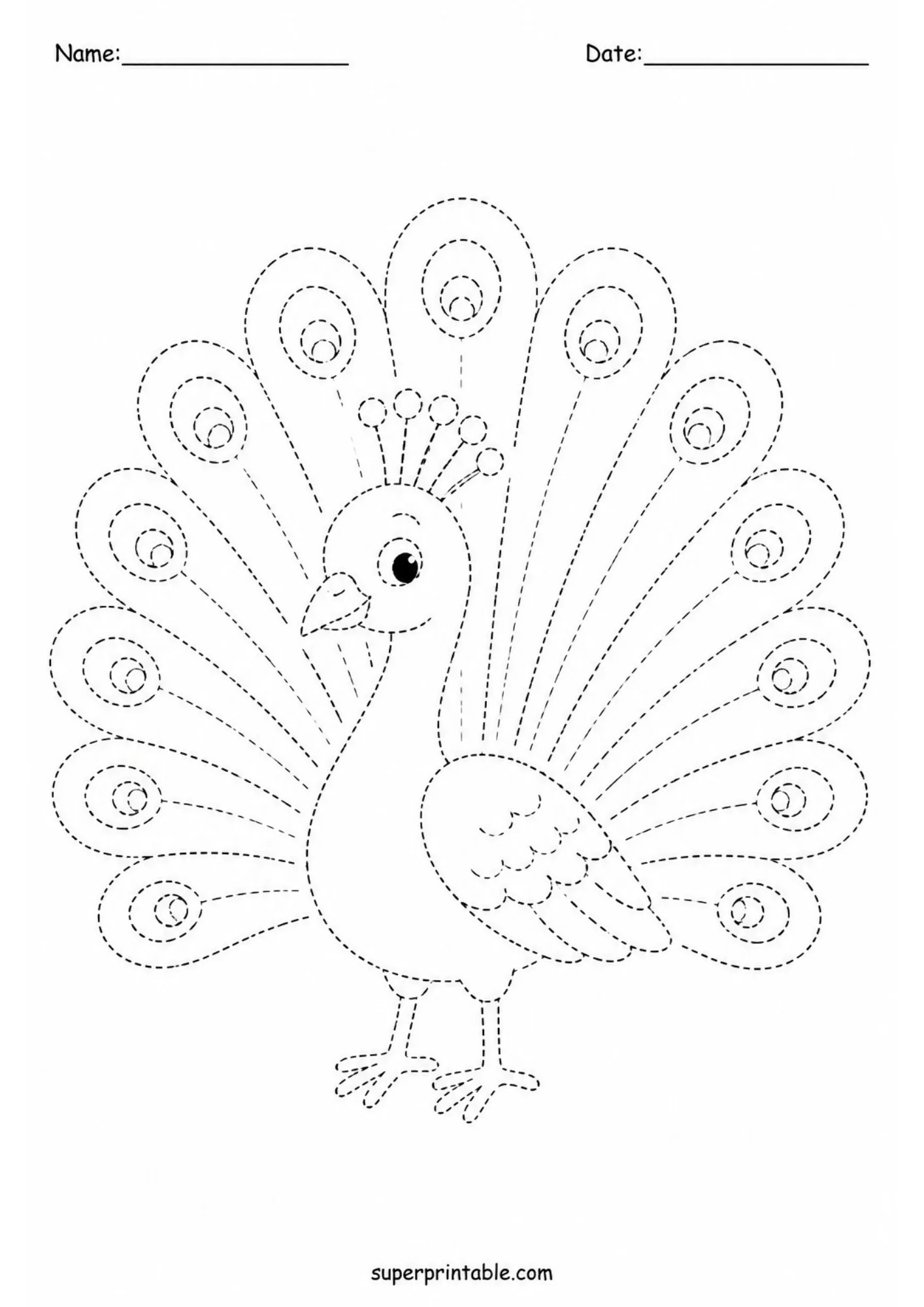 Bird tracing worksheets with a peacock displaying a large fan of patterned tail feathers