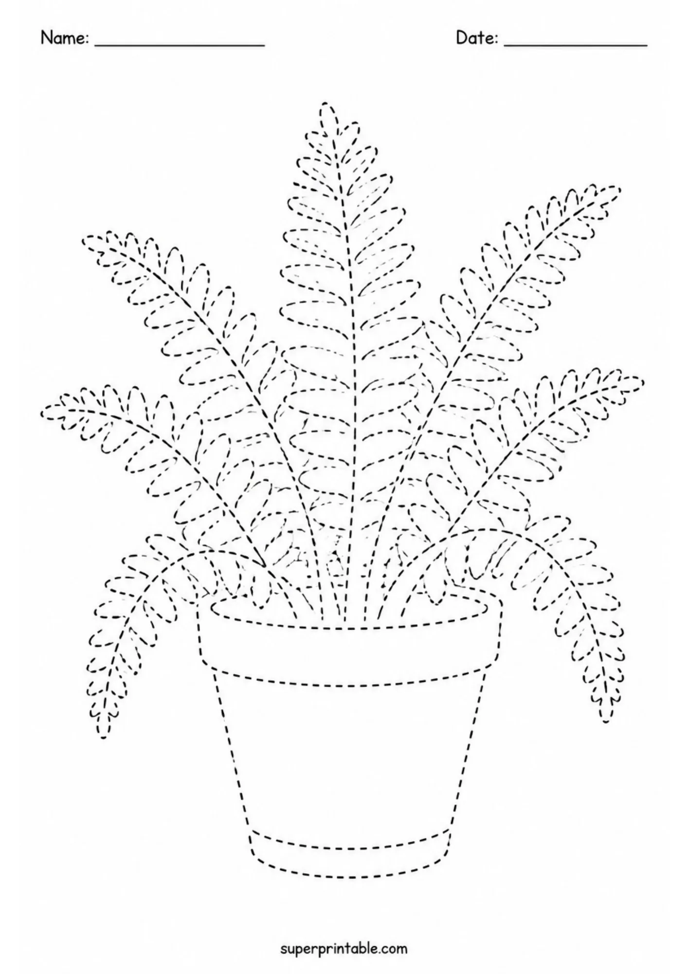 Dotted outline of a bushy fern plant in a pot for tracing.
