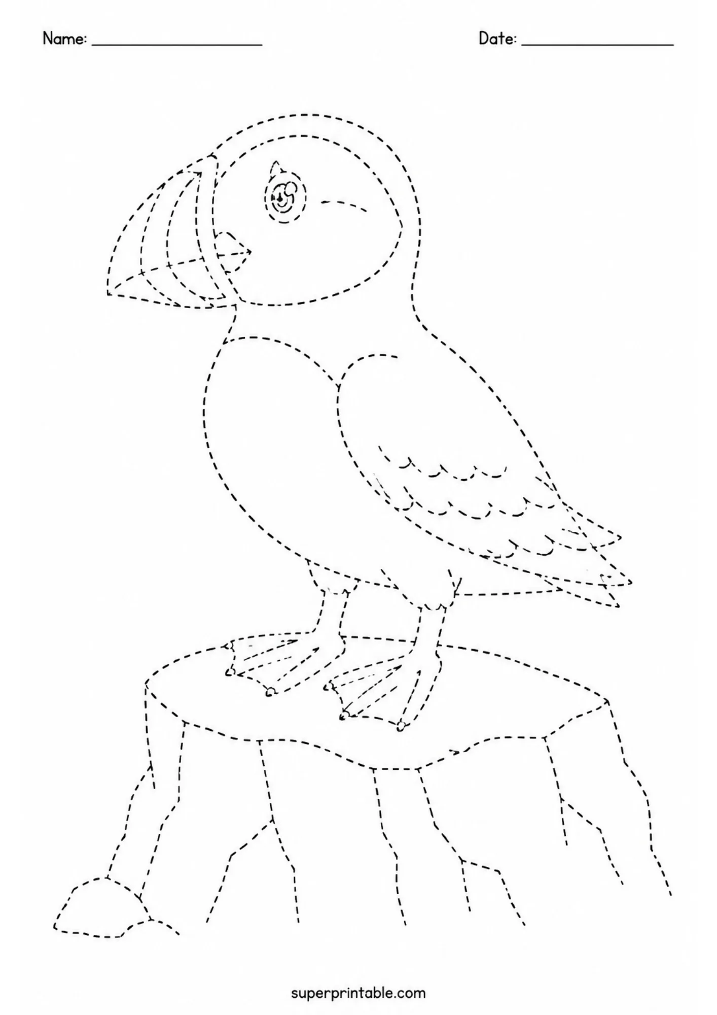 Charming arctic puffin bird standing on a rock outline sheet for children line tracing.