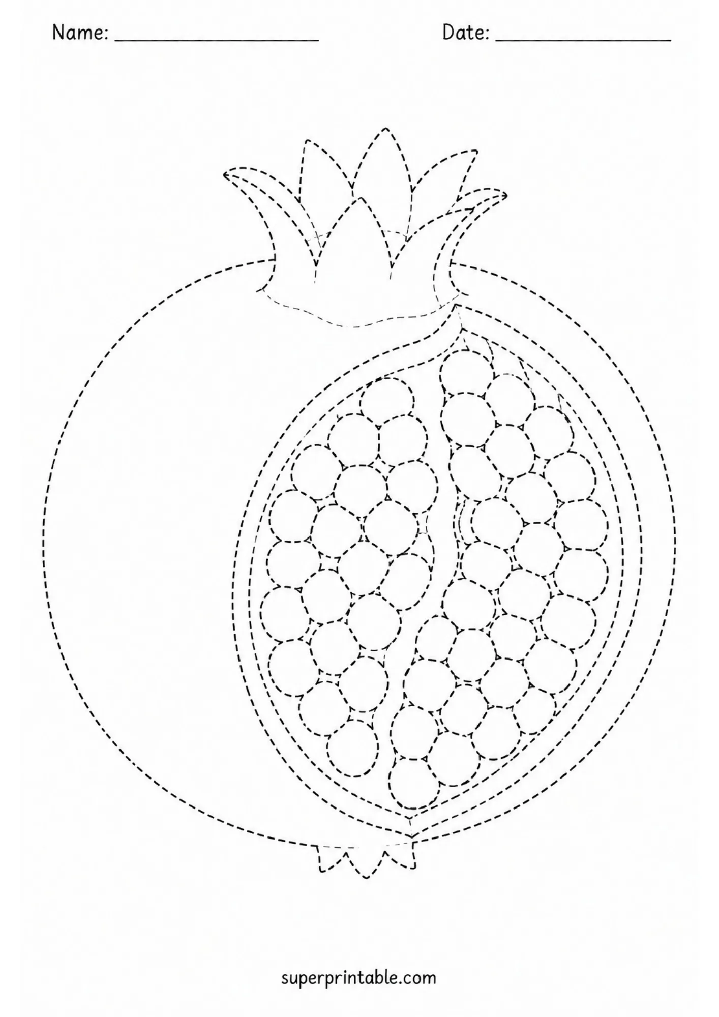 Pomegranate fruit section line tracing page featuring visible inner seeds.