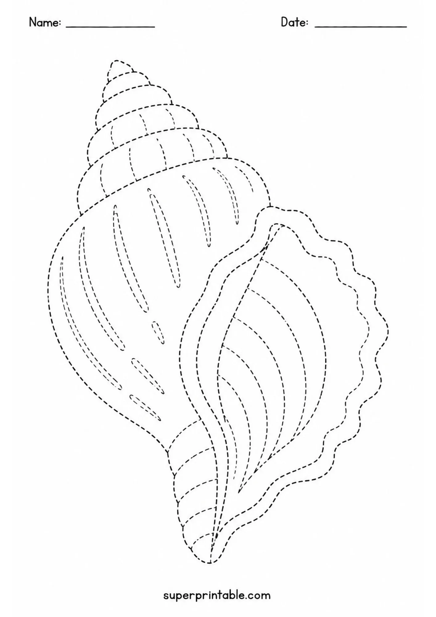 Black and white dashed tracing page of a detailed spiral conch sea shell for kids.