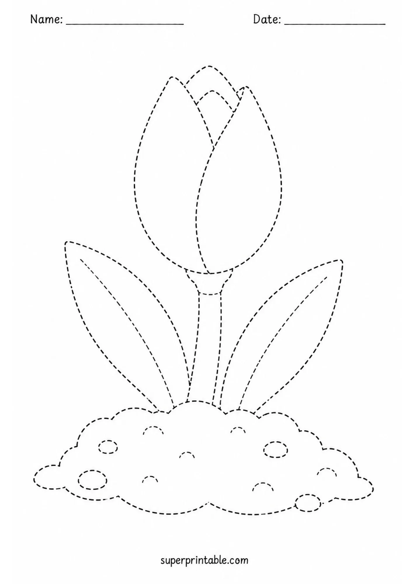 Black and white spring activity worksheets showing a dashed tulip flower to trace.
