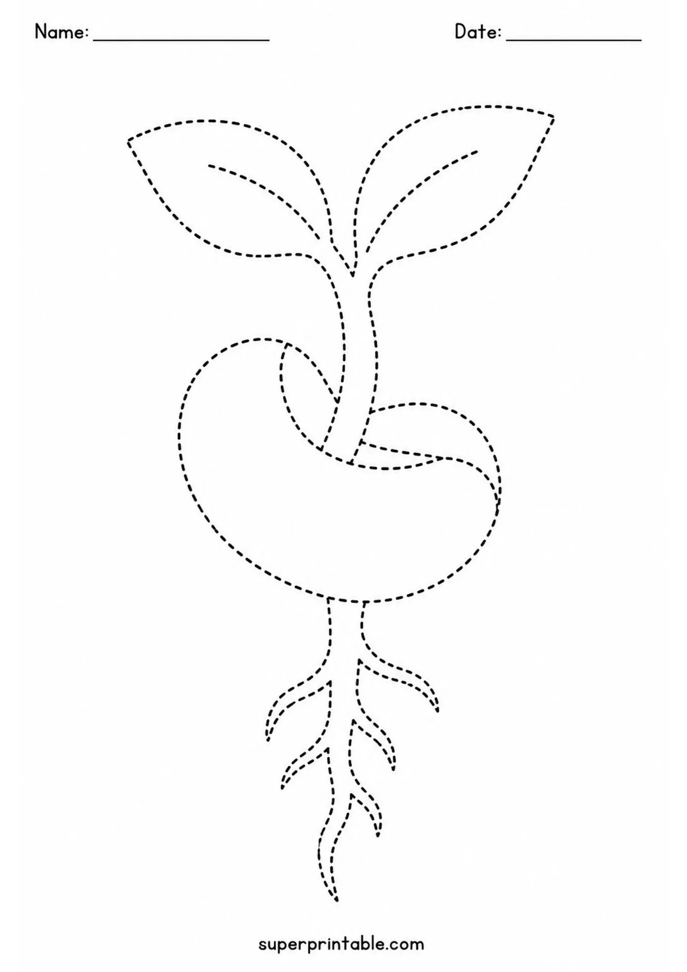 Educational line tracing page of a sprouting seed showing top leaves and underground roots.