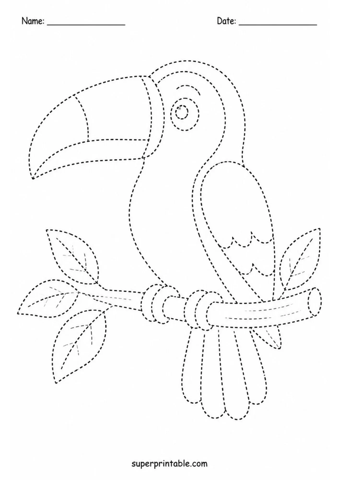 Toucan tracing activity with a large curved beak perched on a leafy tree branch