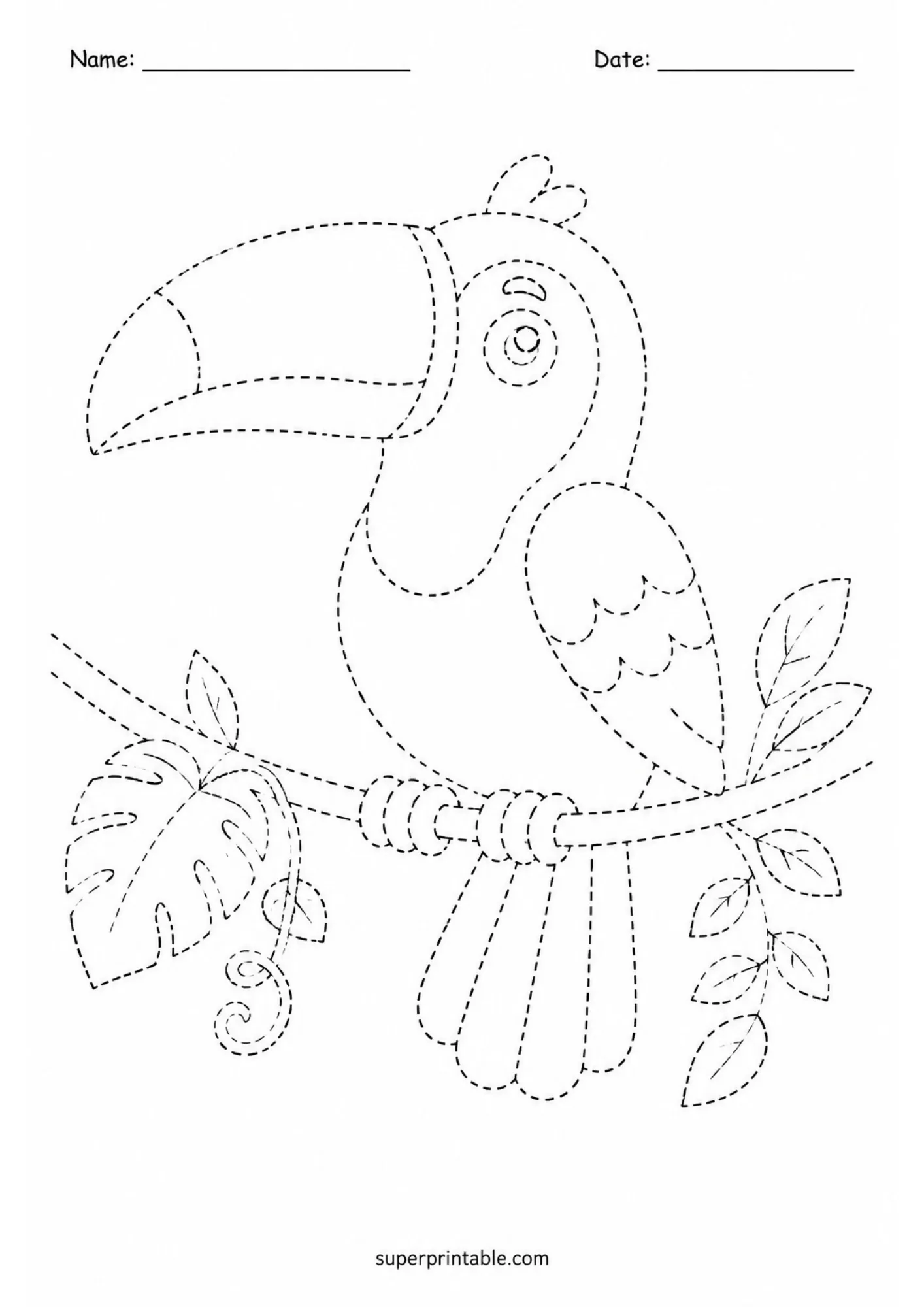 Jungle toucan bird sitting on a leafy branch outline tracing page for early learners and kids.