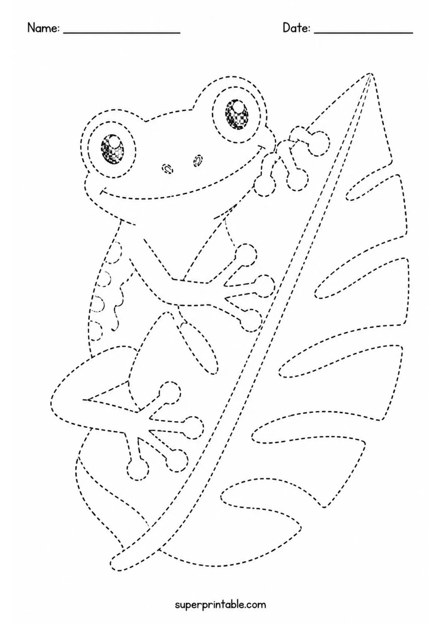 Rainforest creatures activity worksheet featuring a happy tree frog clinging to a palm leaf.