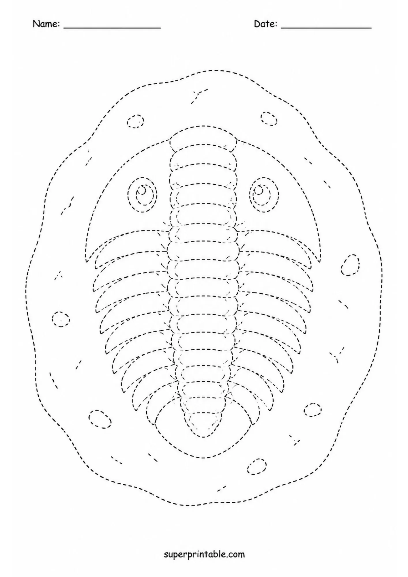 Segmented trilobite fossil line tracing worksheet for elementary students.