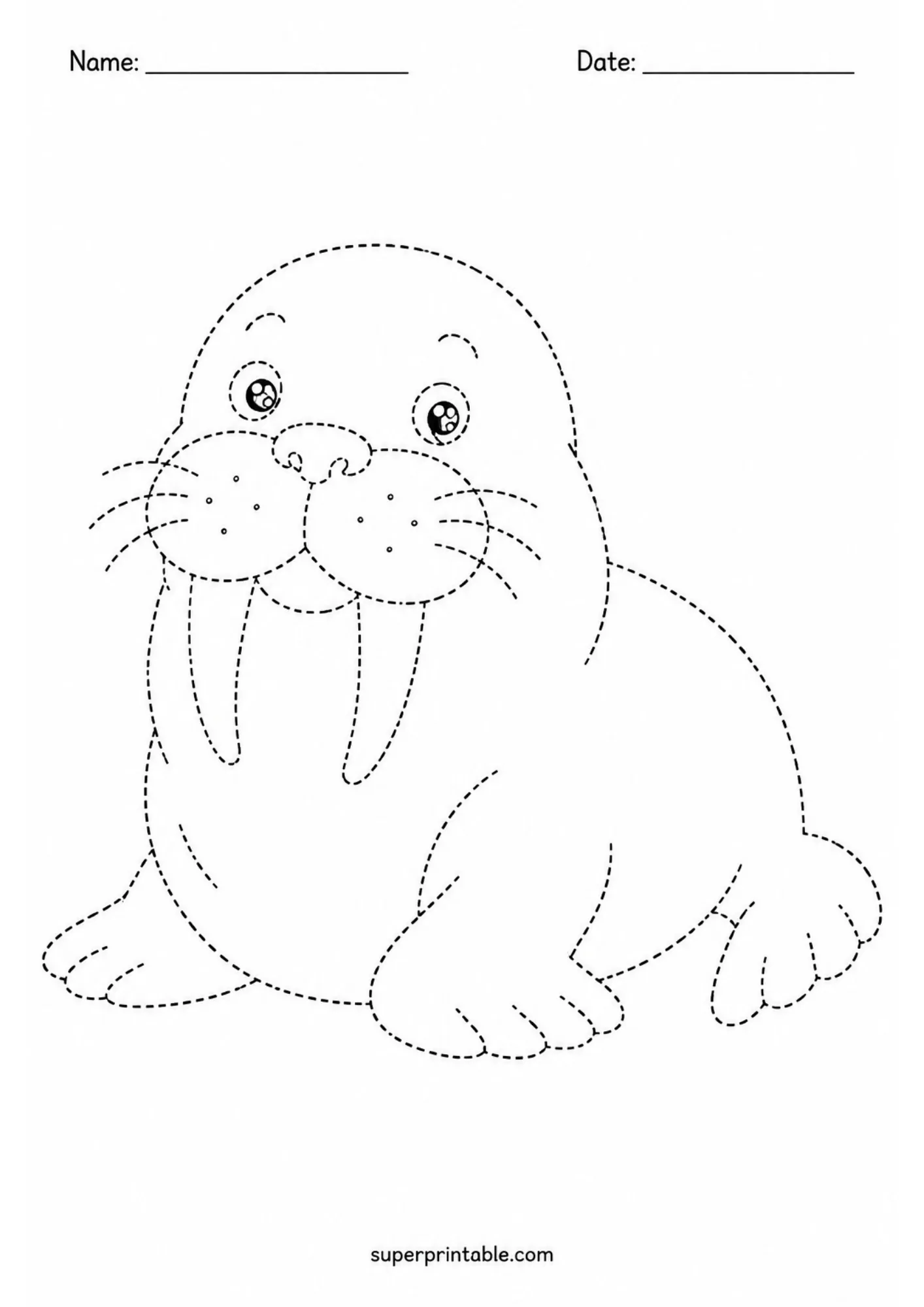 Dotted walrus outline printable page designed for kindergarten line tracing exercises.