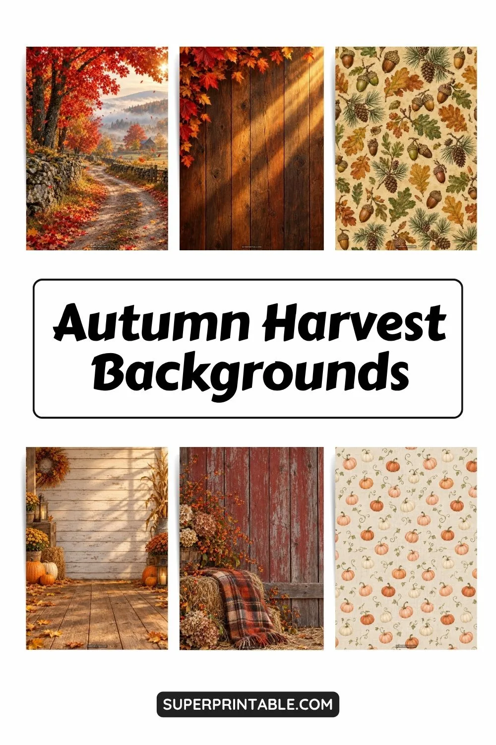 12+ Autumn Harvest Backgrounds Pinterest Image