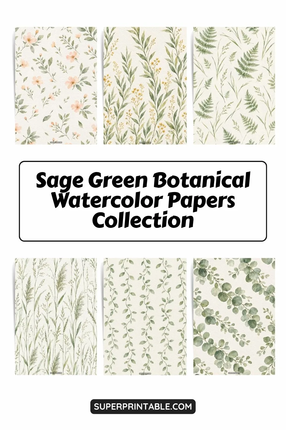 12+ Sage Green Botanical Watercolor Papers Pinterest Image