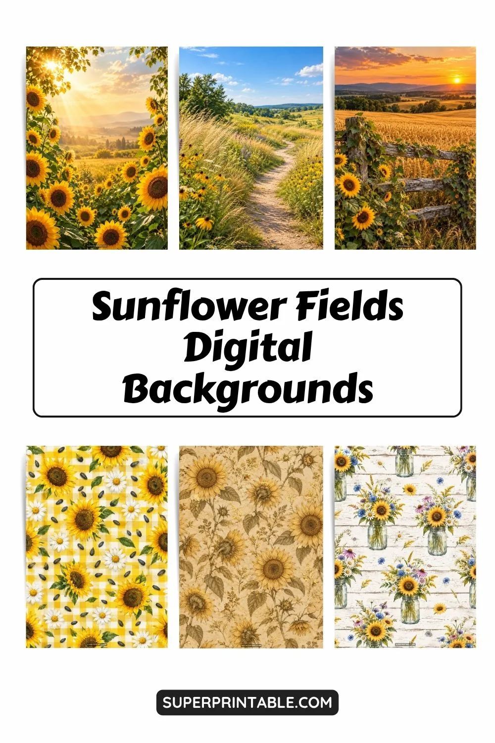 12+ Sunflower Fields Digital Backgrounds Pinterest Image