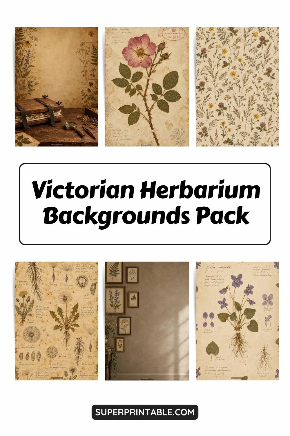 12+ Victorian Herbarium Backgrounds Pinterest Image