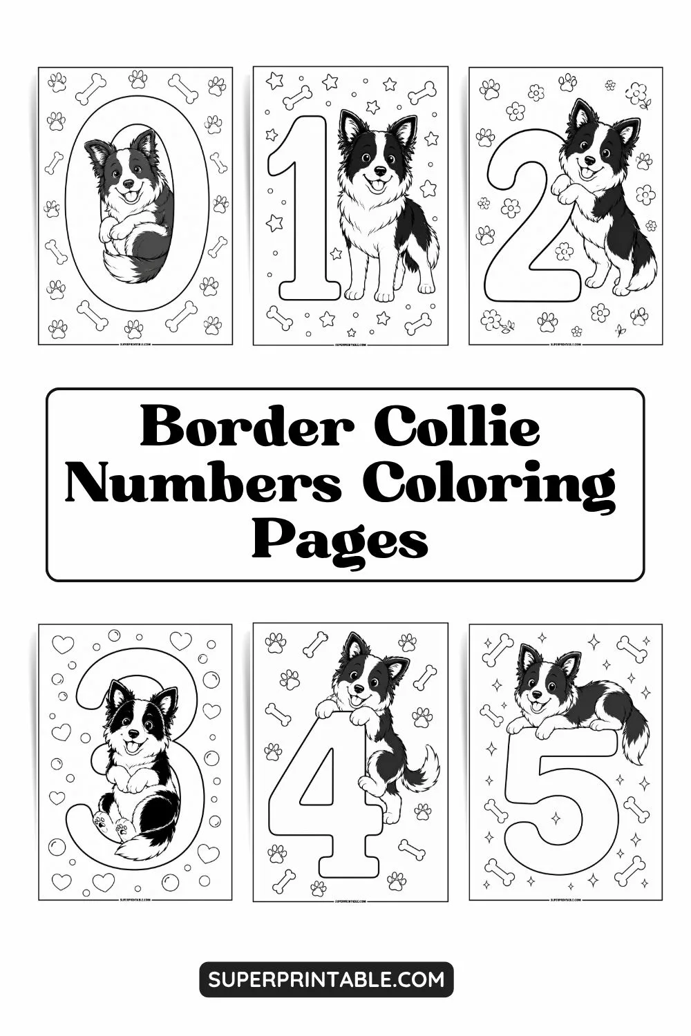 Border Collie Numbers Coloring Pages Pinterest Image