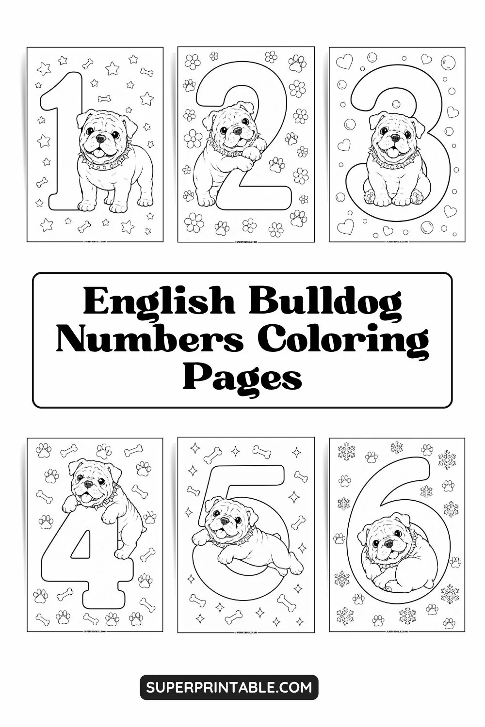 English Bulldog Numbers Coloring Pages Pinterest Image