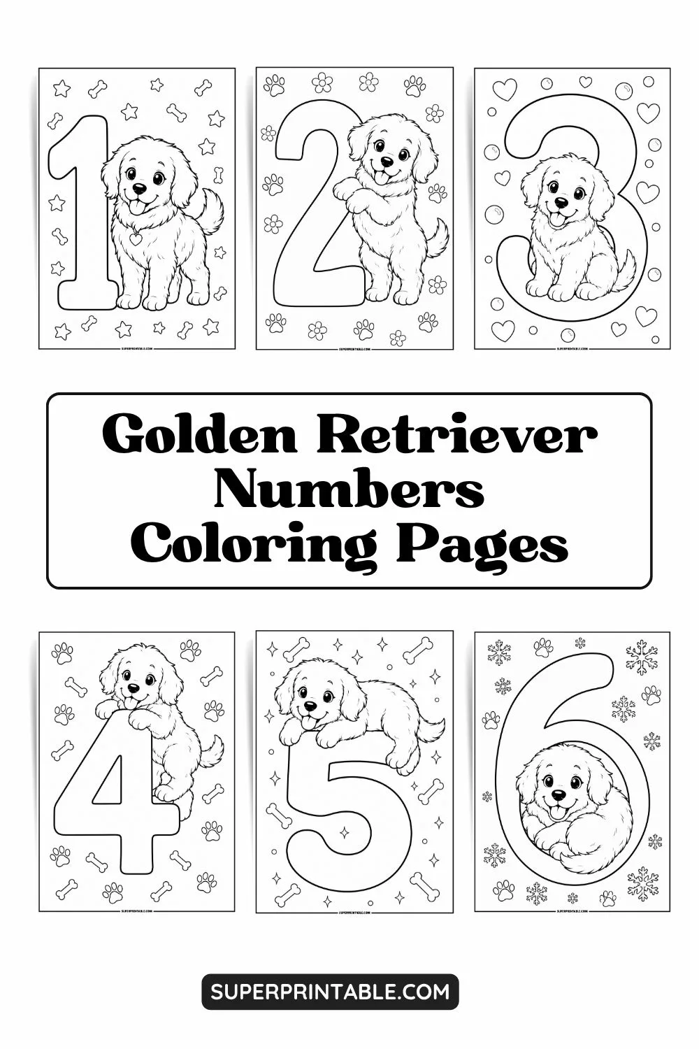 Golden Retriever Numbers Coloring Pages Pinterest Image