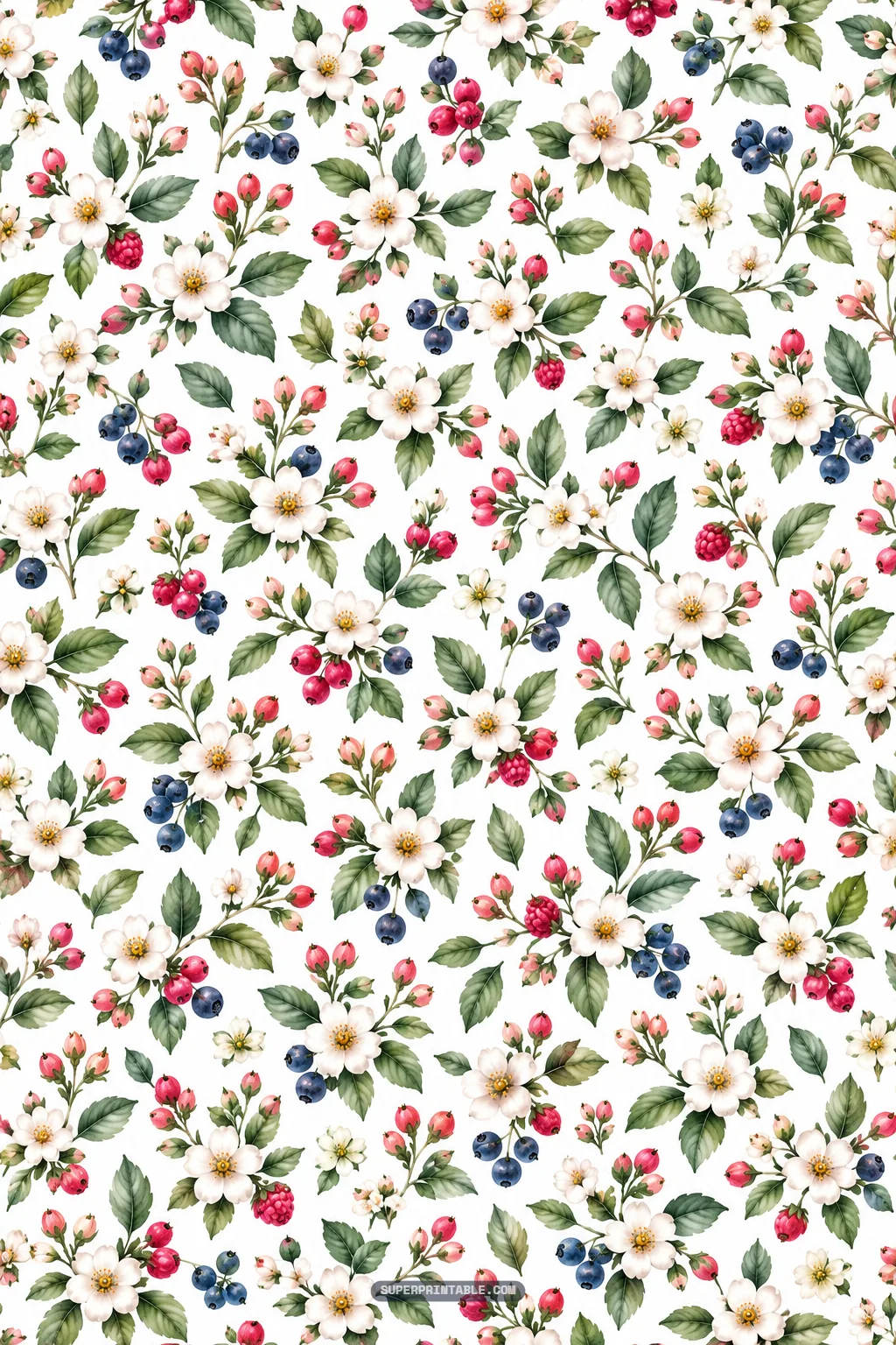White berry blossoms, soft pink floral buds, and tiny blueberries scattered across a white background.