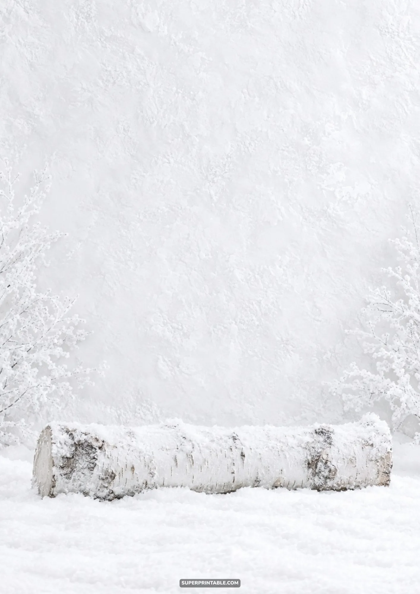 Horizontal white birch log resting in clean snow before a textured wall with frosted winter twigs