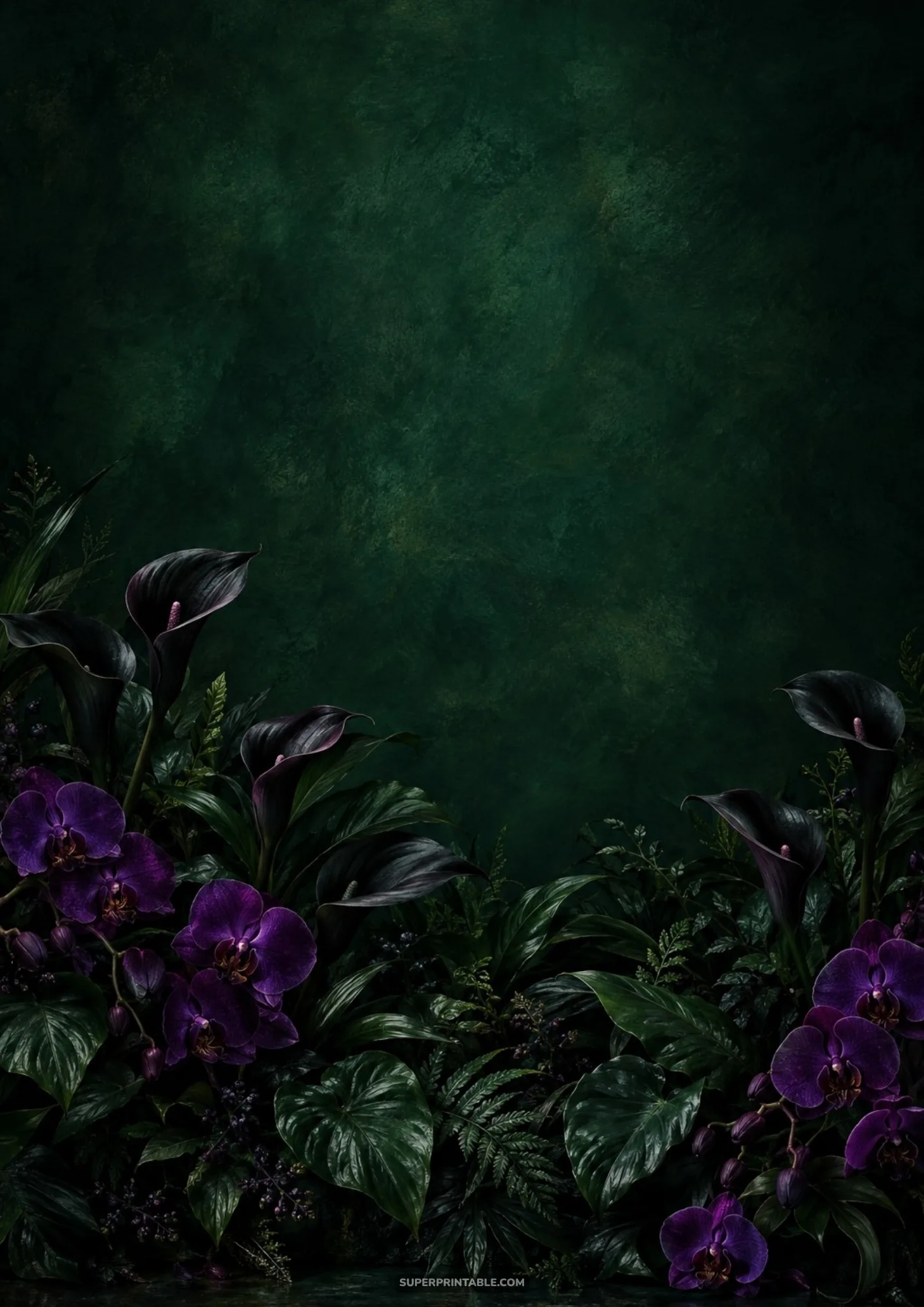 Dramatic black calla lilies and rich purple orchids clustered among dark green foliage