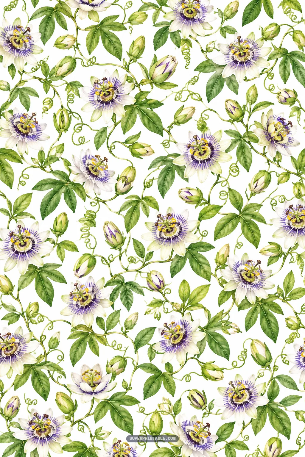Seamless botanical garden pattern dense with blooming purple and white passion flowers and climbing tendrils.