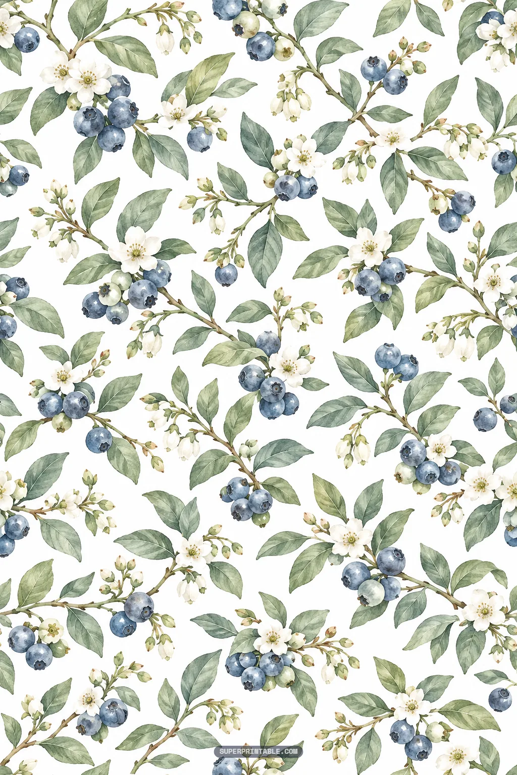Intertwined leafy blueberry branches with fresh white flower buds and ripe indigo berries across a pale ground