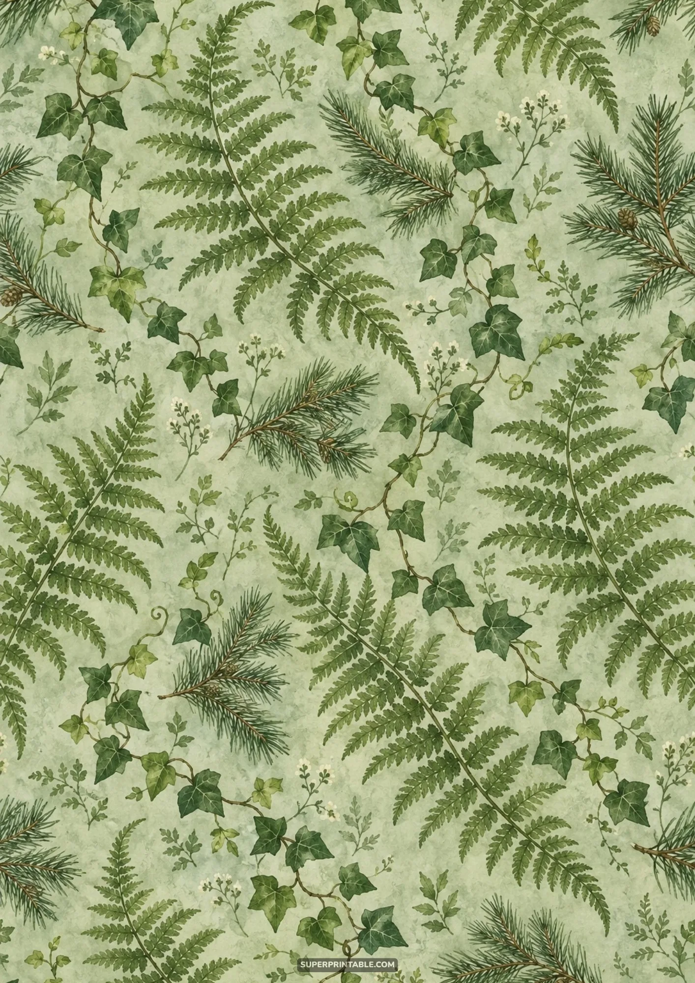 Seamless repeating botanical pattern of green fern fronds trailing ivy vines and pine sprigs